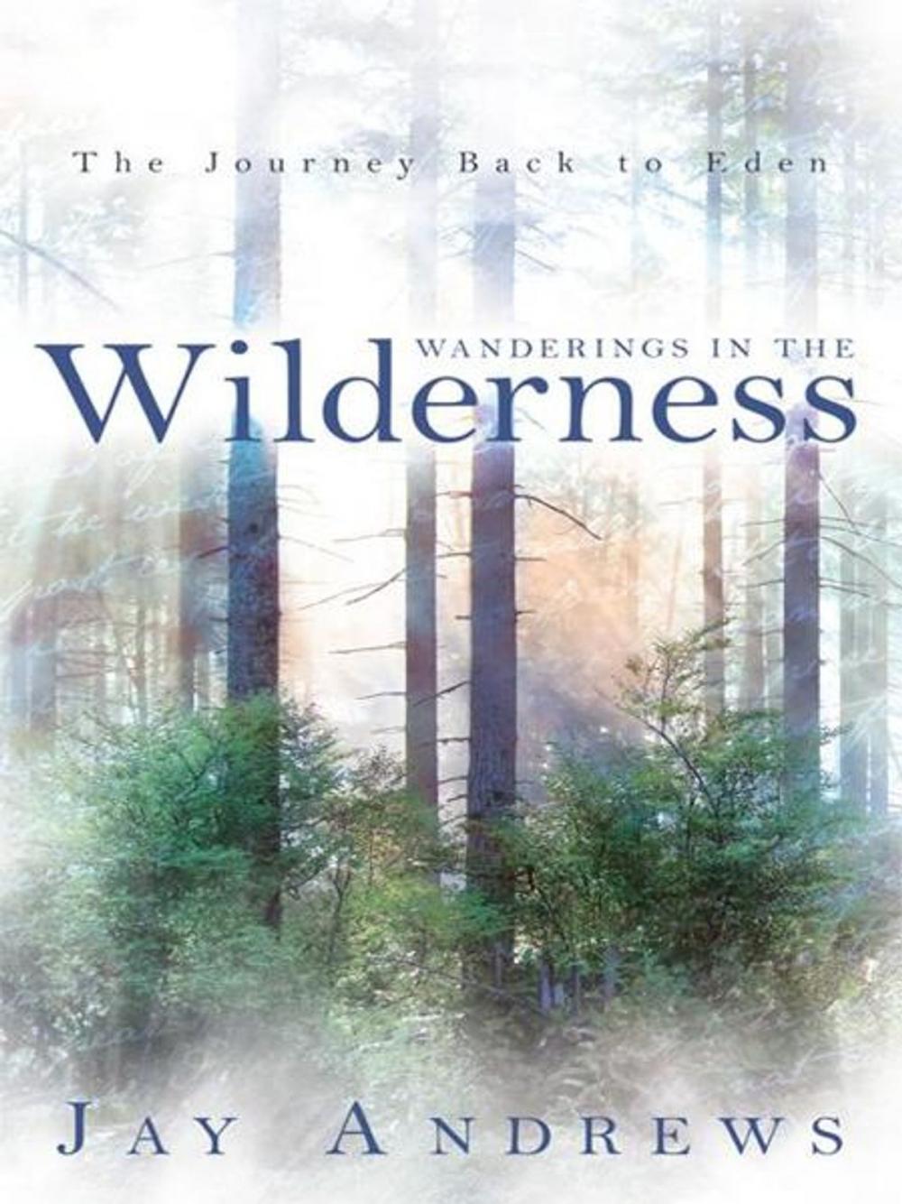 Big bigCover of Wanderings in the Wilderness