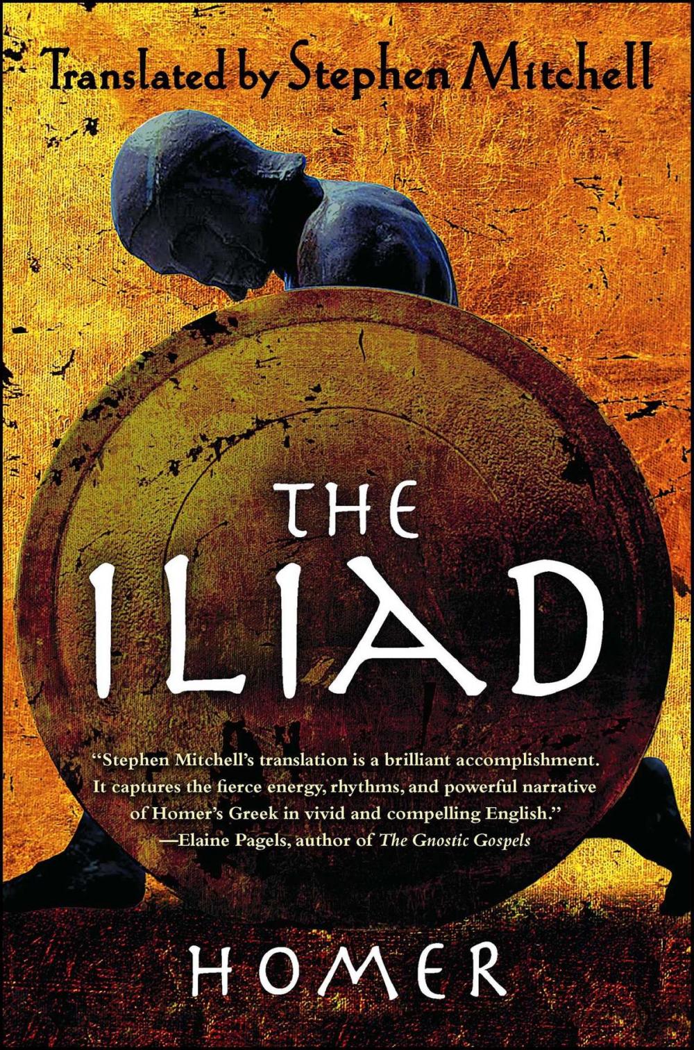 Big bigCover of The Iliad