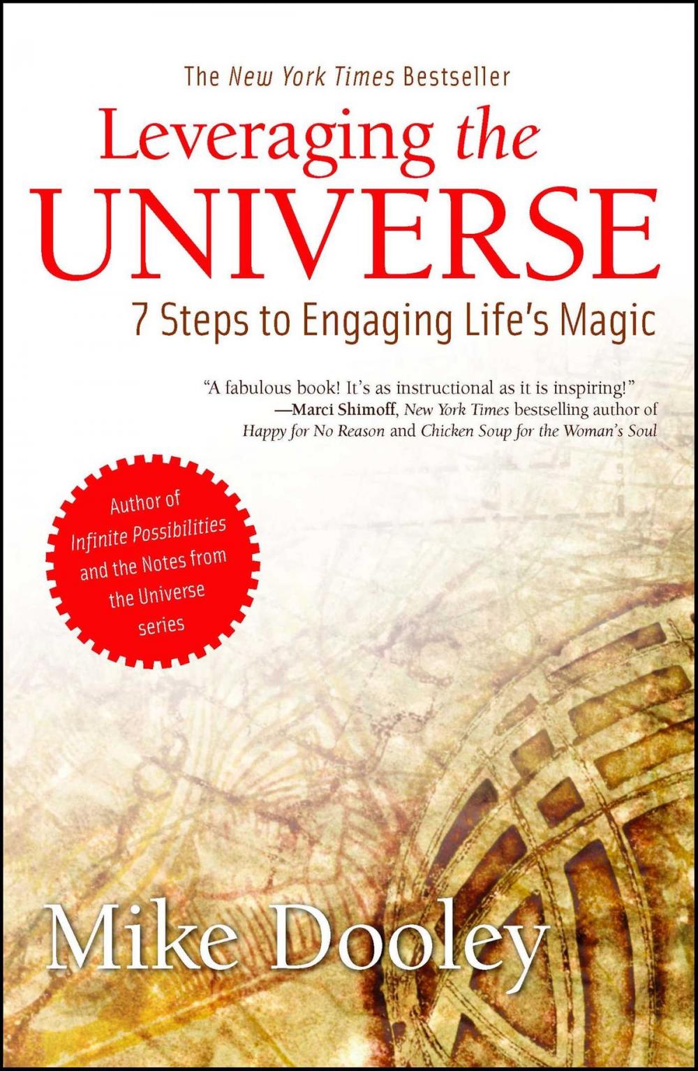 Big bigCover of Leveraging the Universe