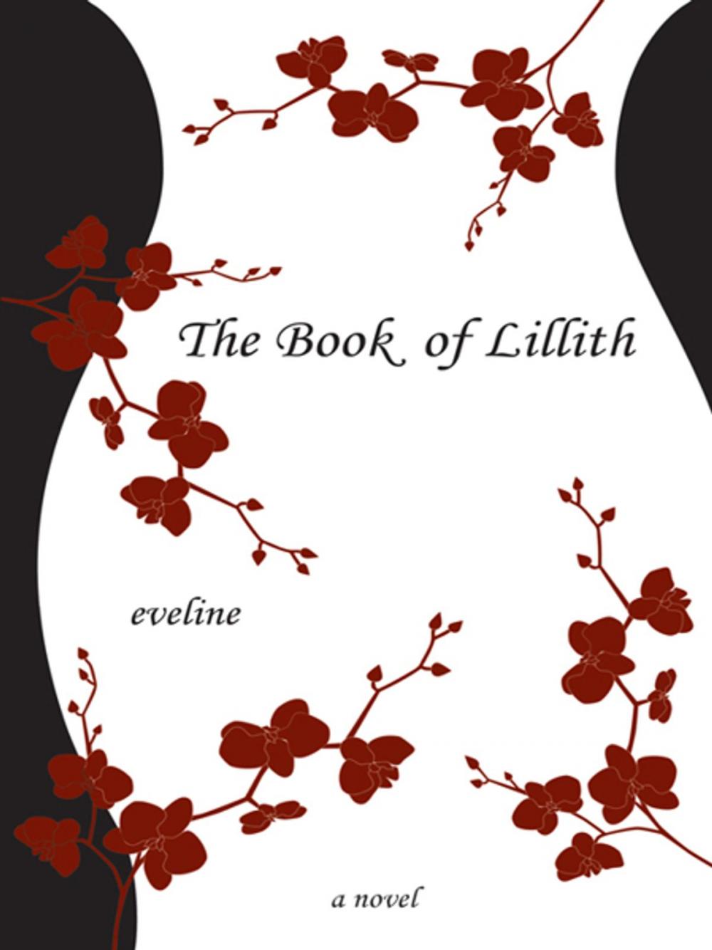 Big bigCover of The Book of Lillith