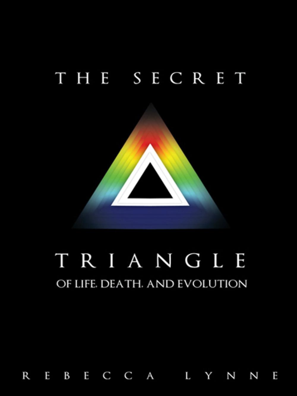 Big bigCover of The Secret Triangle