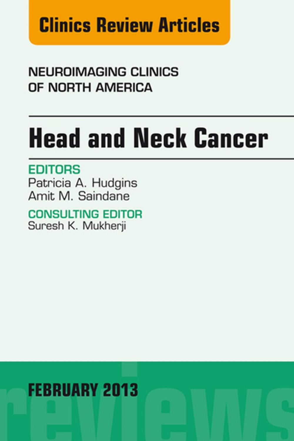 Big bigCover of Head and Neck Cancer, An Issue of Neuroimaging Clinics, E-Book