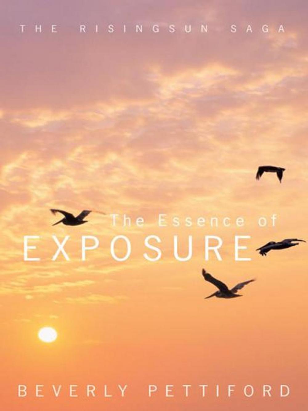 Big bigCover of The Essence of Exposure