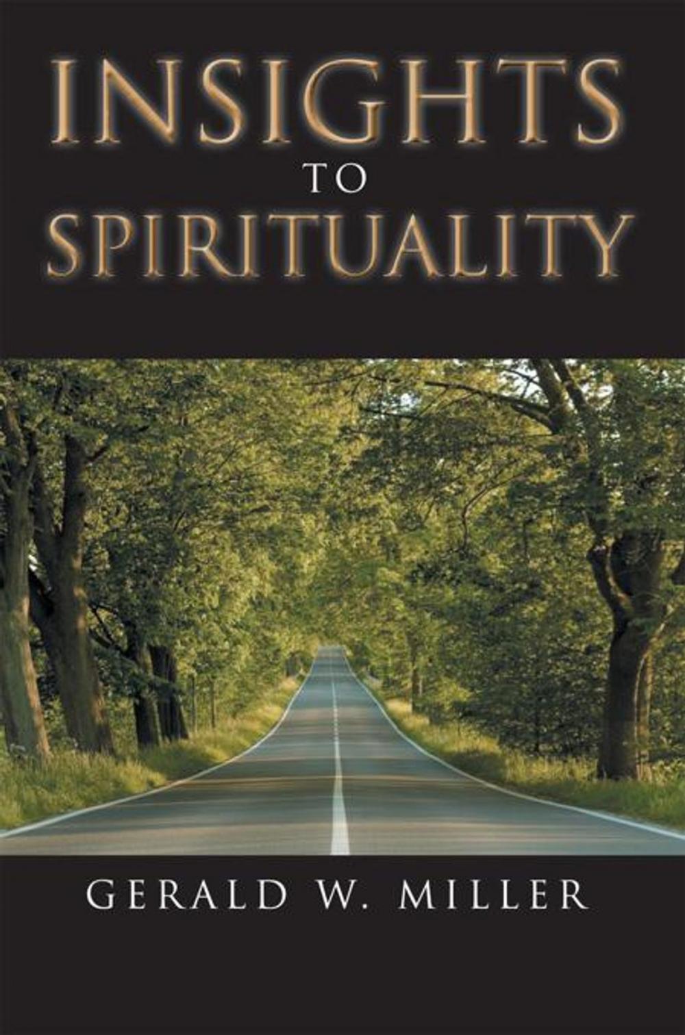 Big bigCover of Insights to Spirituality