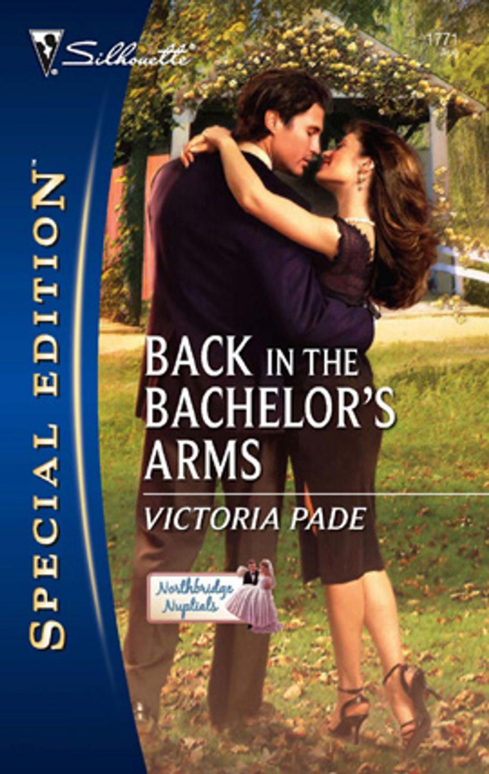 Big bigCover of Back in the Bachelor's Arms