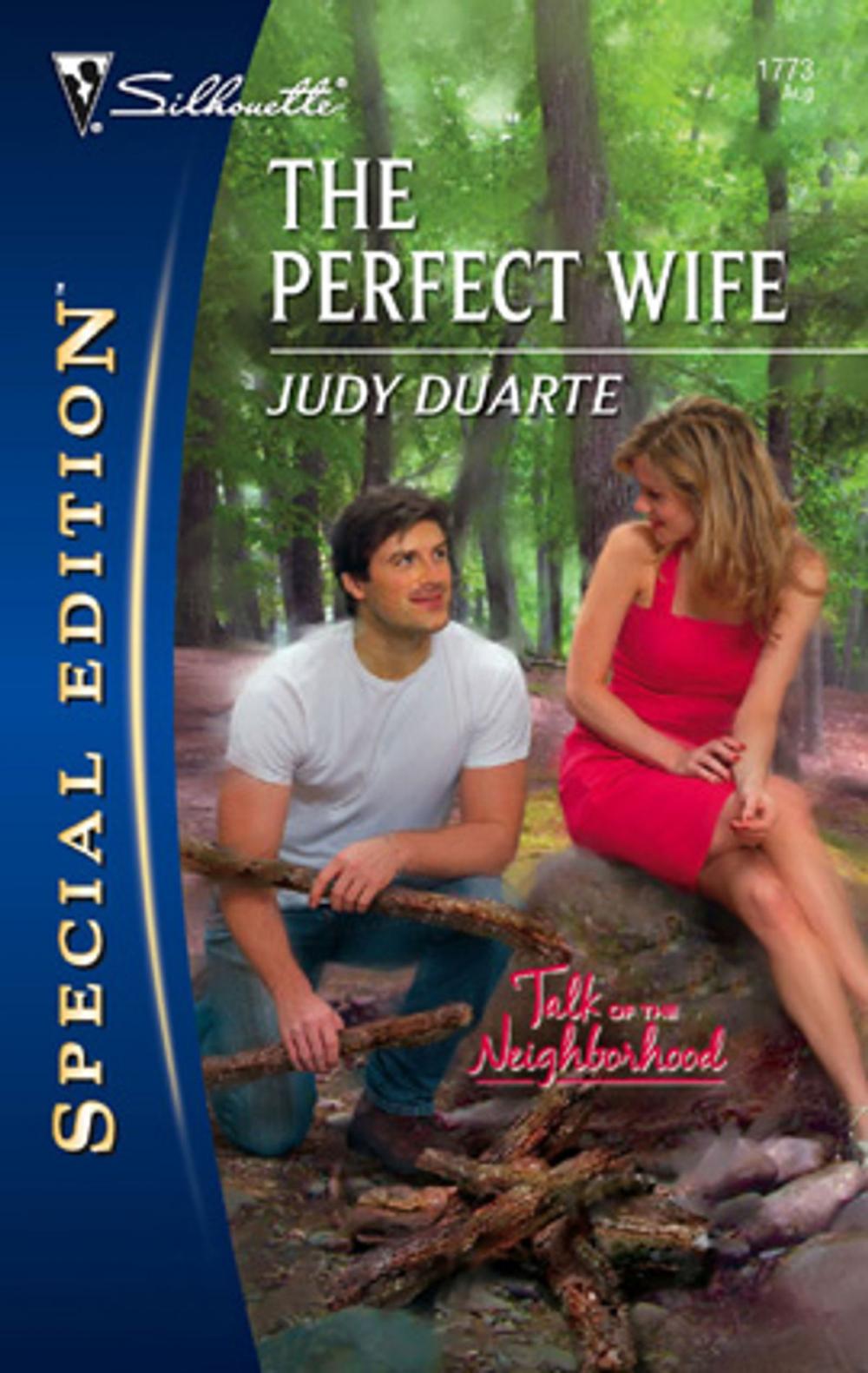 Big bigCover of The Perfect Wife