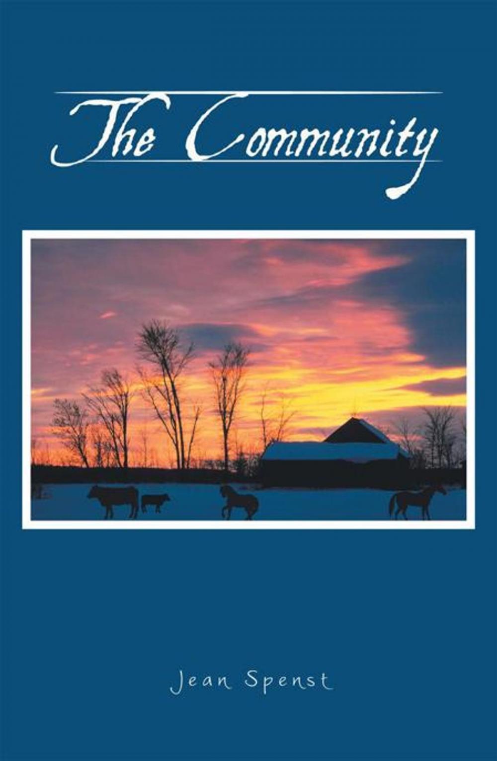 Big bigCover of The Community