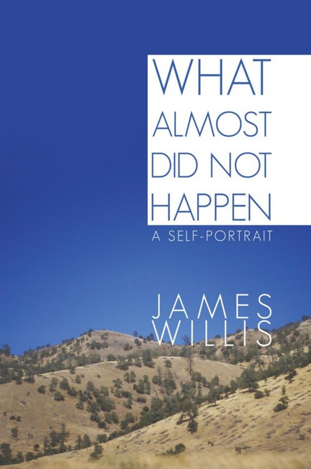 Big bigCover of What Almost Did Not Happen