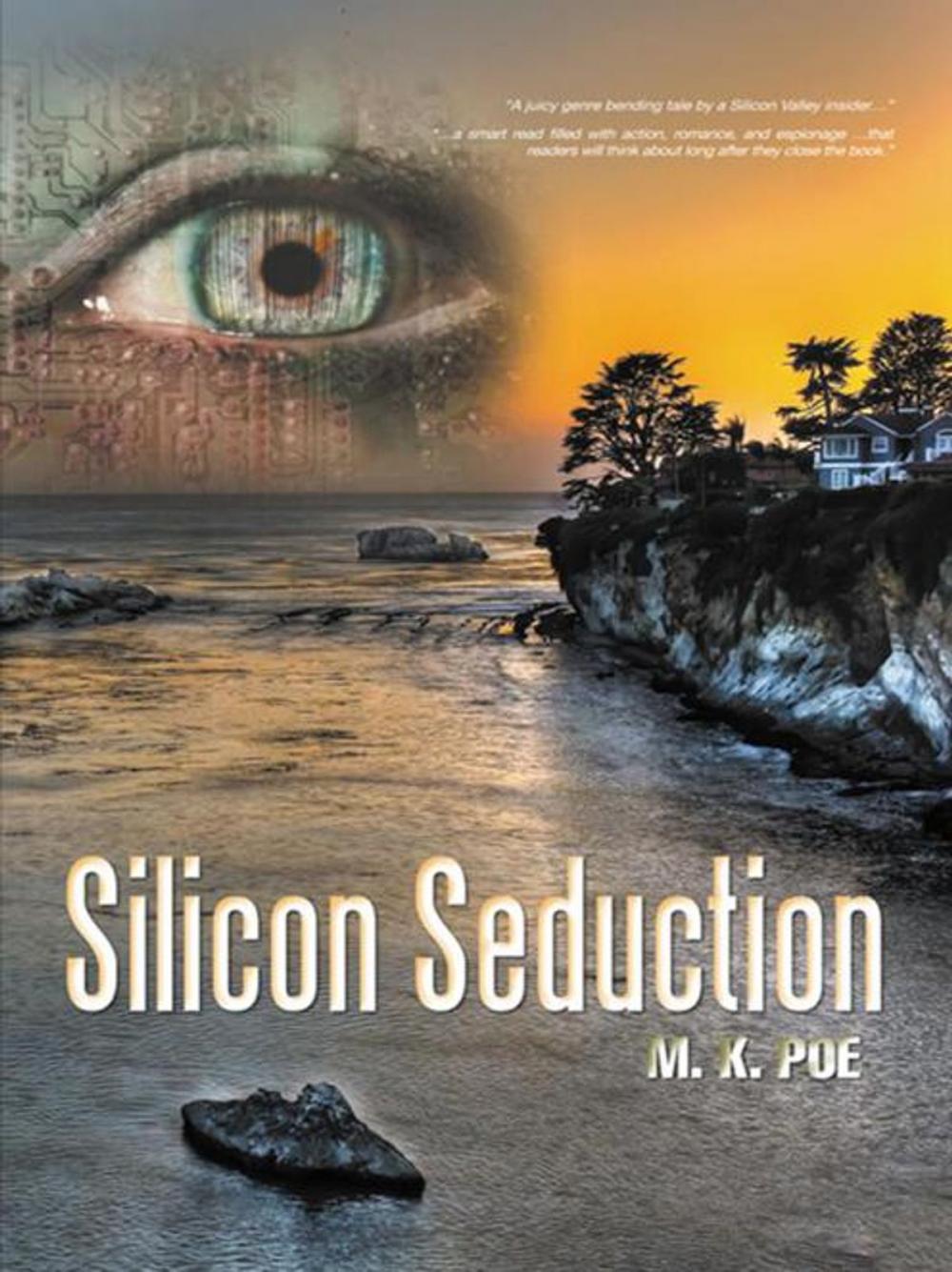 Big bigCover of Silicon Seduction