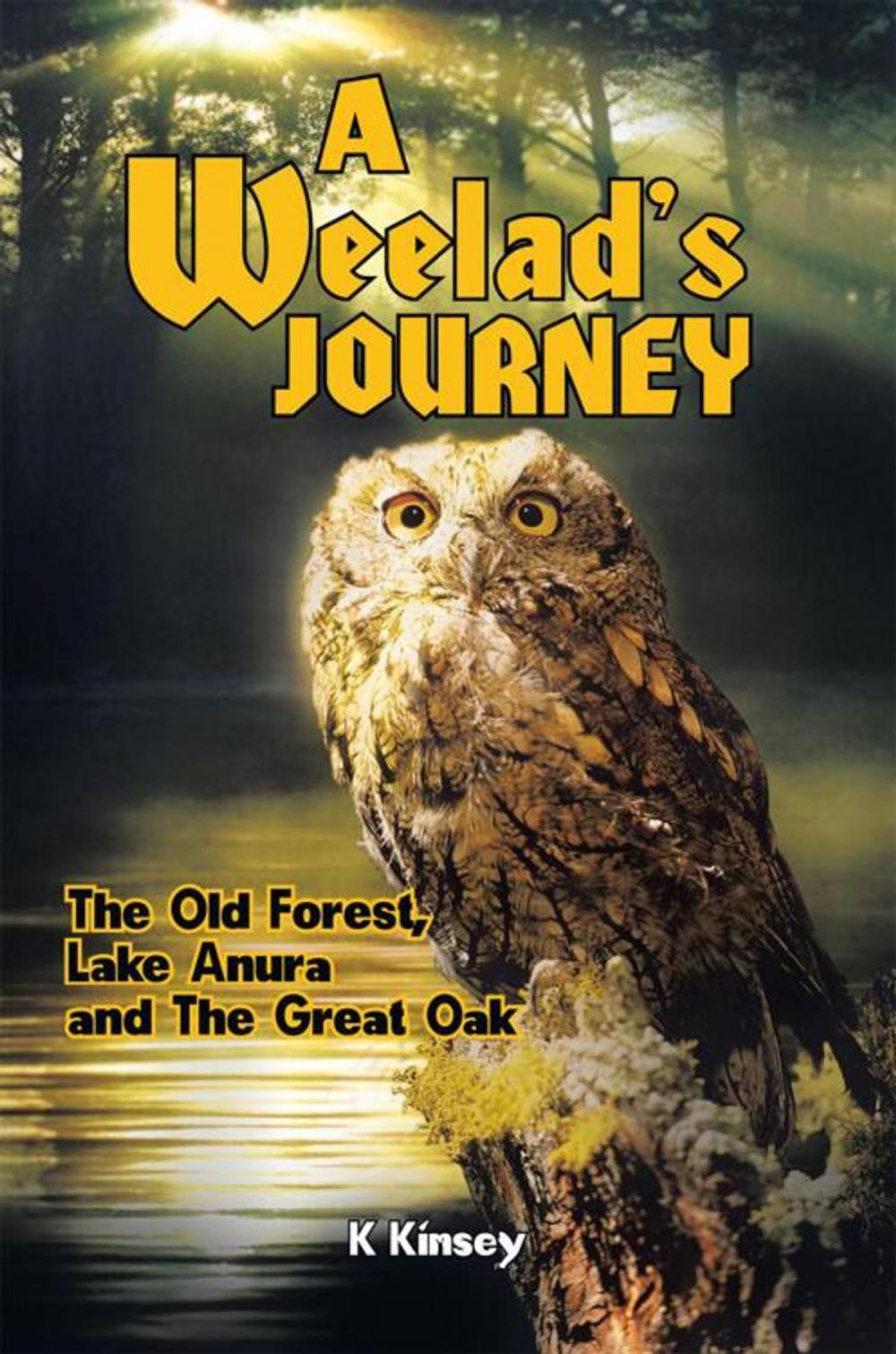 Big bigCover of A Weelad's Journey