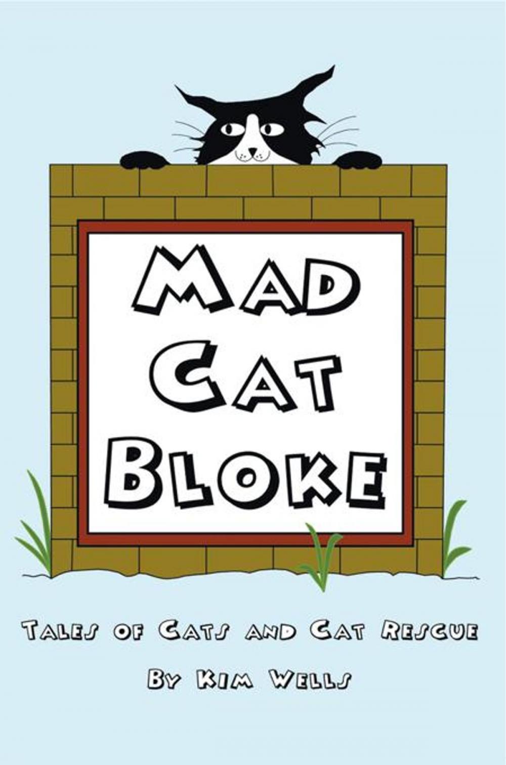 Big bigCover of Mad Cat Bloke