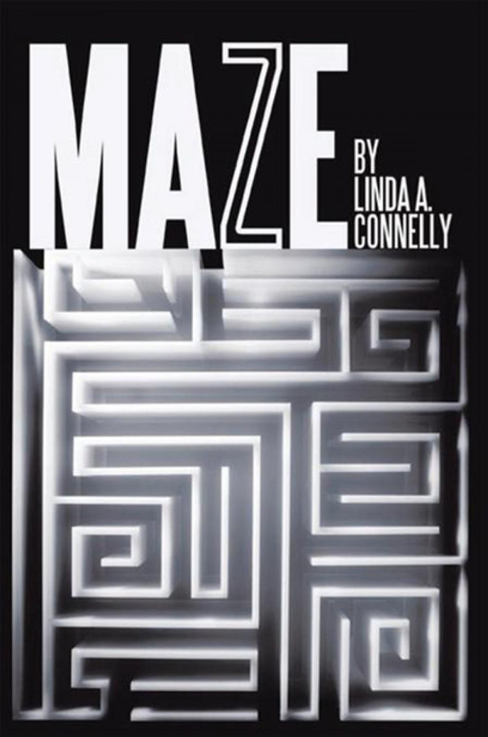 Big bigCover of Maze