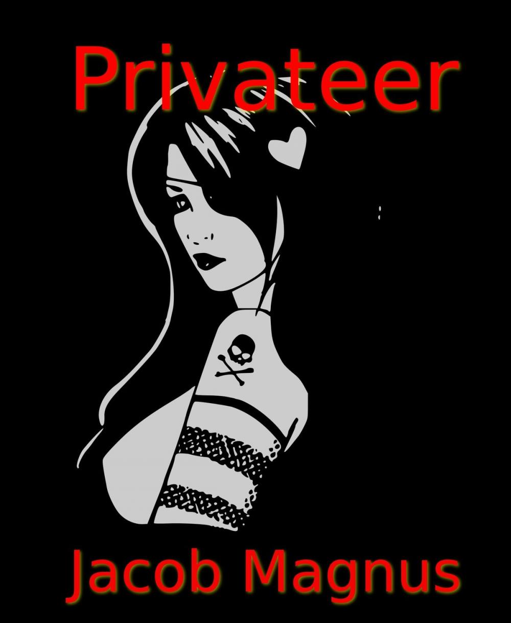 Big bigCover of Privateer