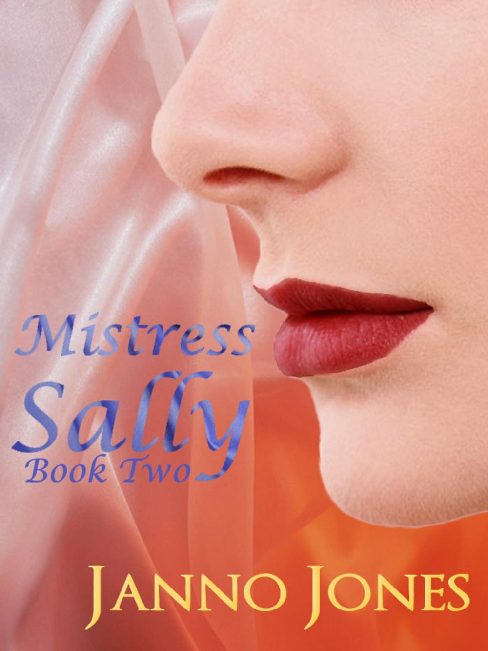 Big bigCover of Mistress Sally, Book Two