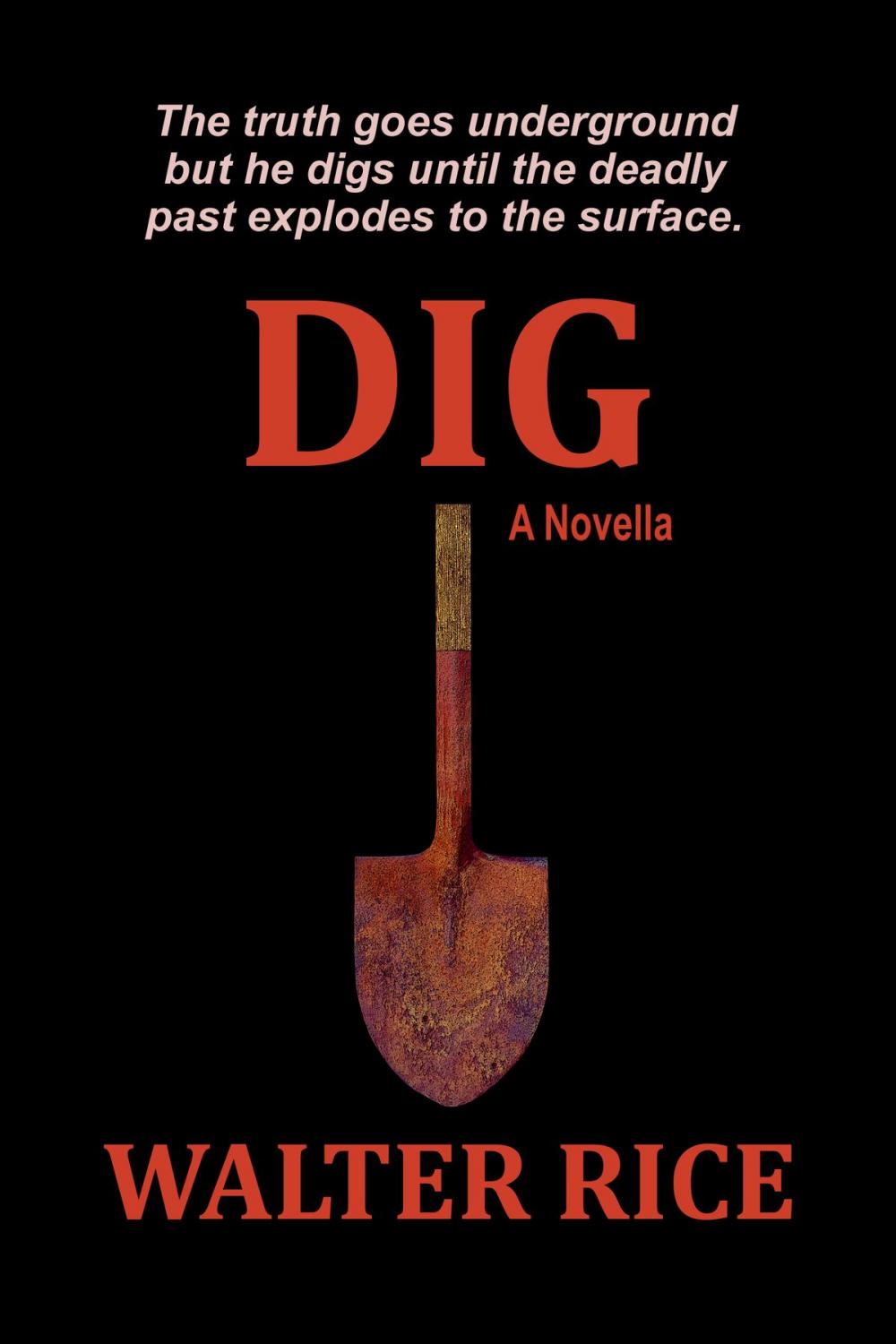 Big bigCover of Dig