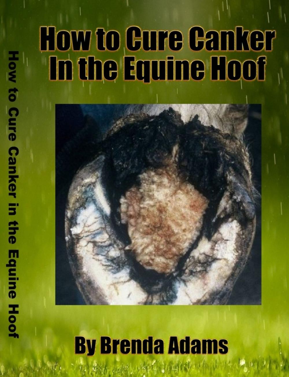 Big bigCover of How To Cure Canker in the Equine Hoof