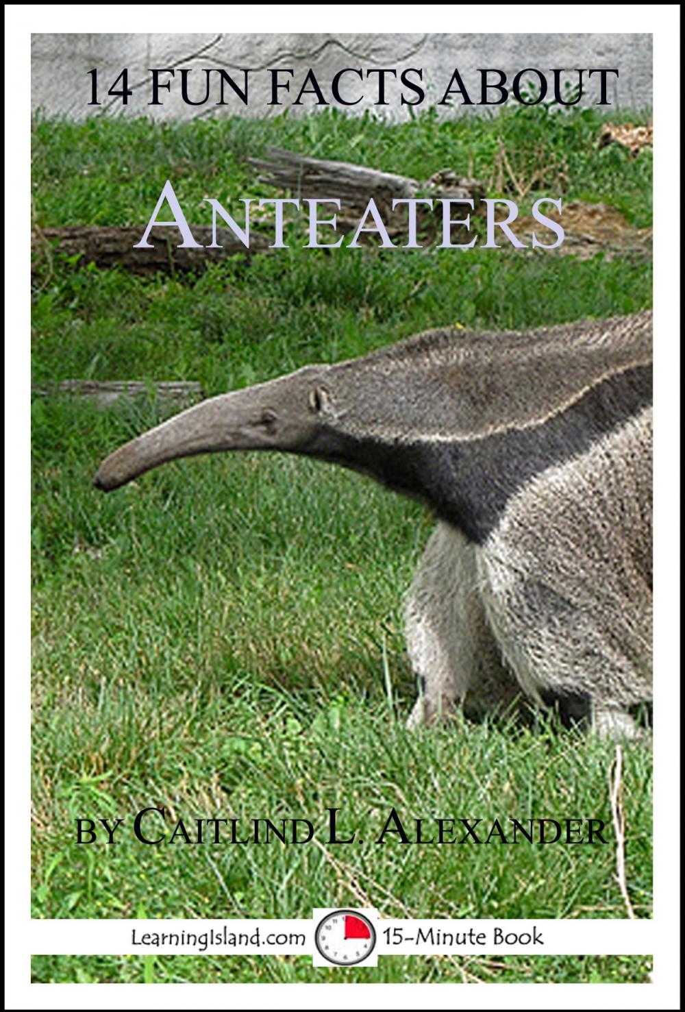 Big bigCover of 14 Fun Facts About Anteaters: A 15-Minute Book