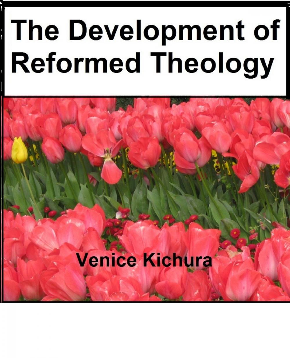 Big bigCover of The Development of Reformed Theology