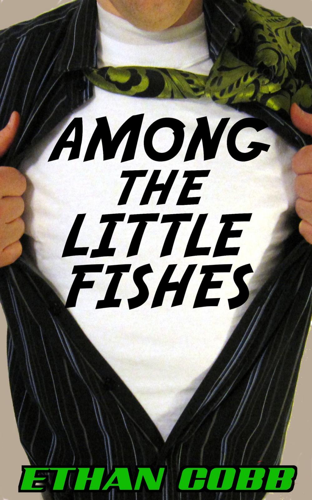 Big bigCover of Among the Little Fishes