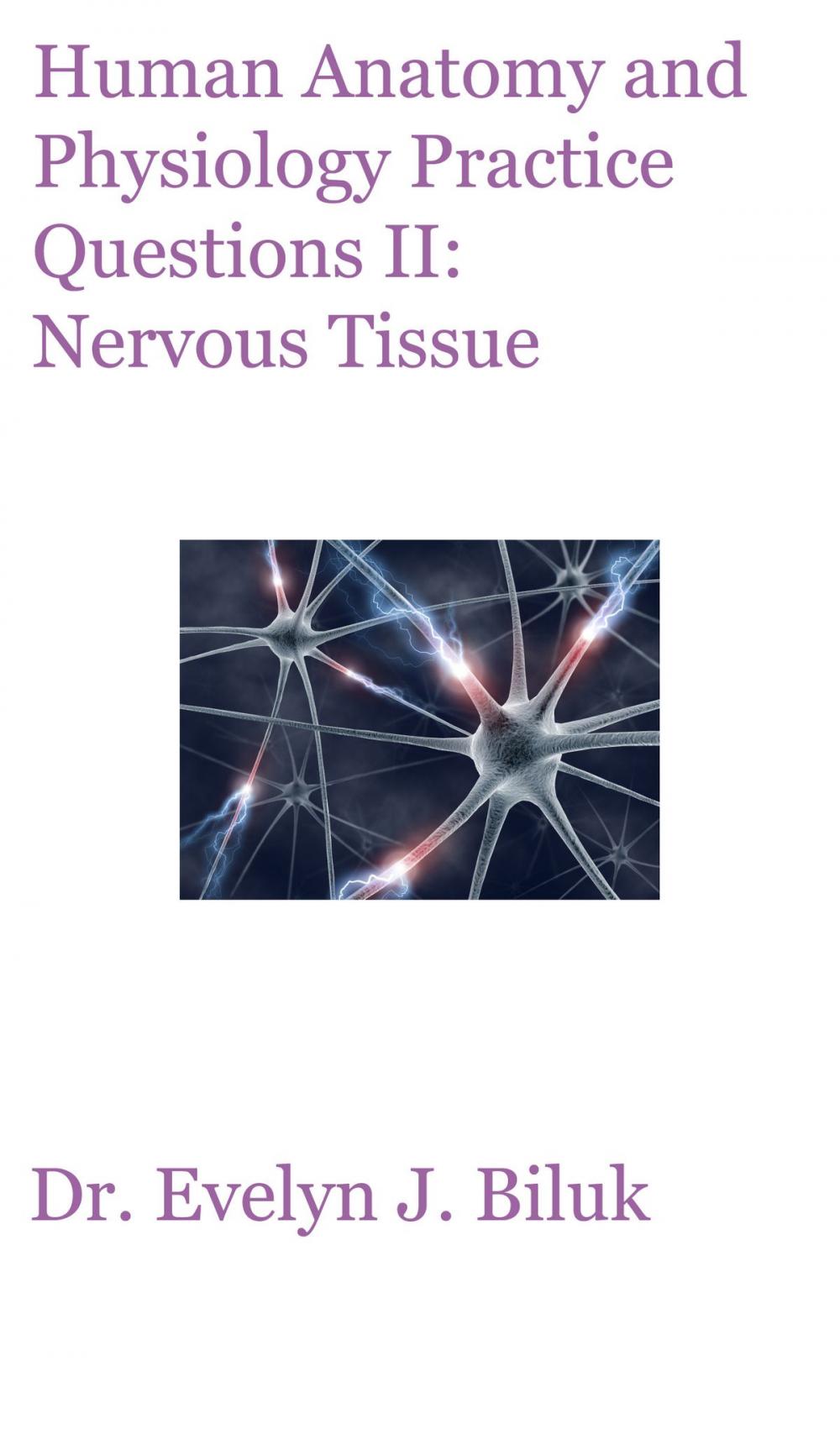 Big bigCover of Human Anatomy and Physiology Practice Questions II: Nervous Tissue