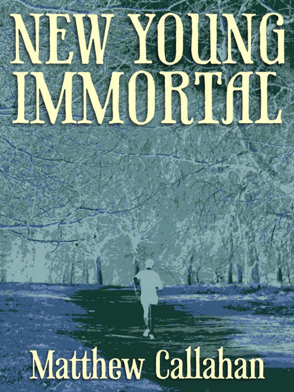 Big bigCover of New Young Immortal