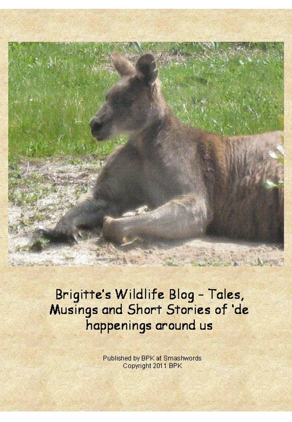 Big bigCover of Brigitte’s Wildlife Blog: Tales and Stories of ‘de happenings around us