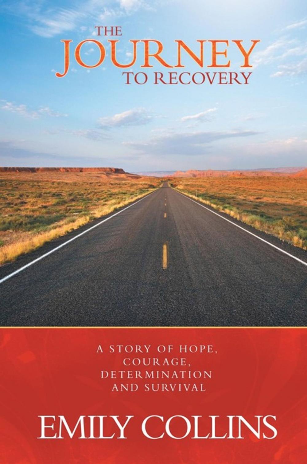 Big bigCover of The Journey to Recovery