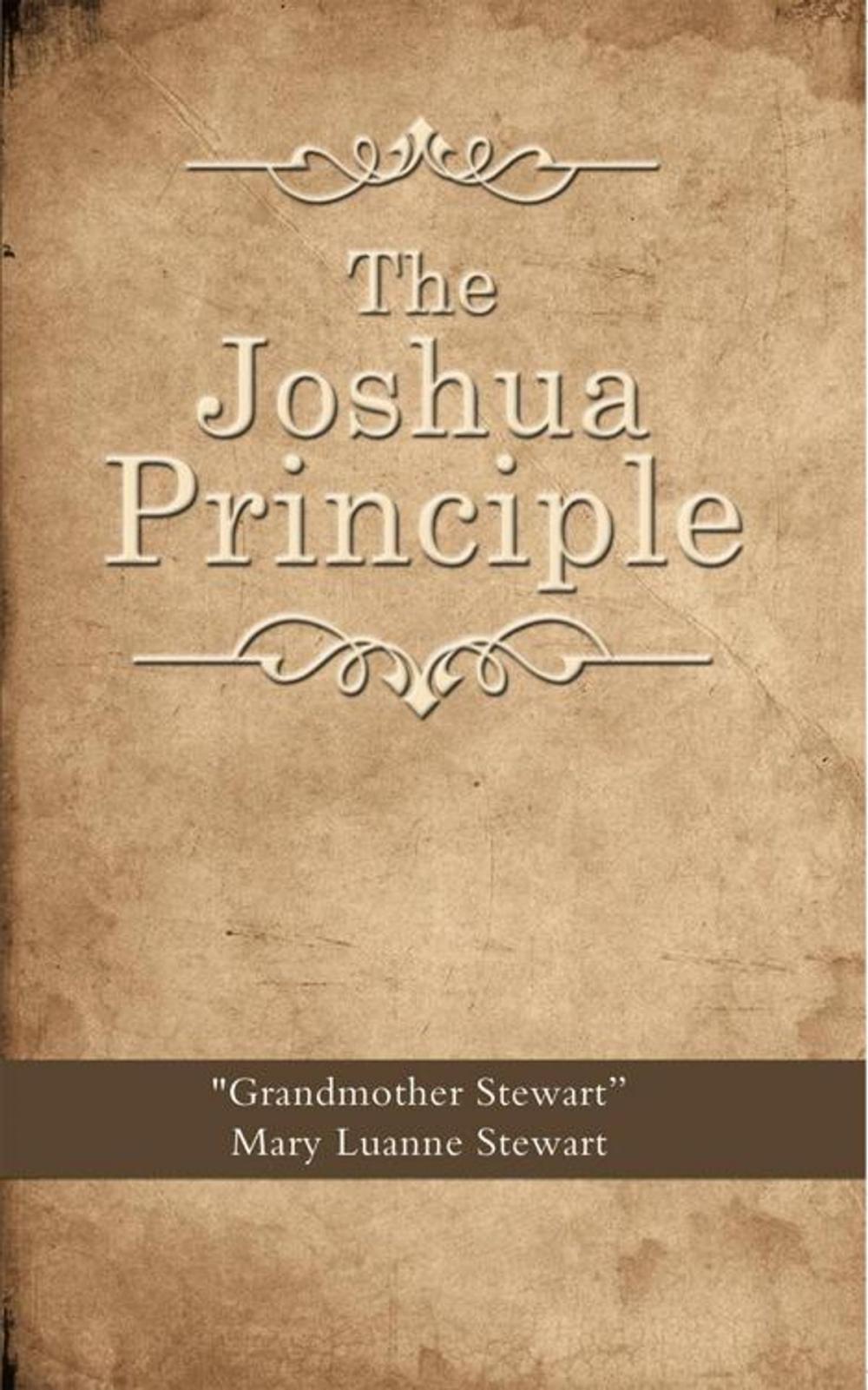 Big bigCover of The Joshua Principle