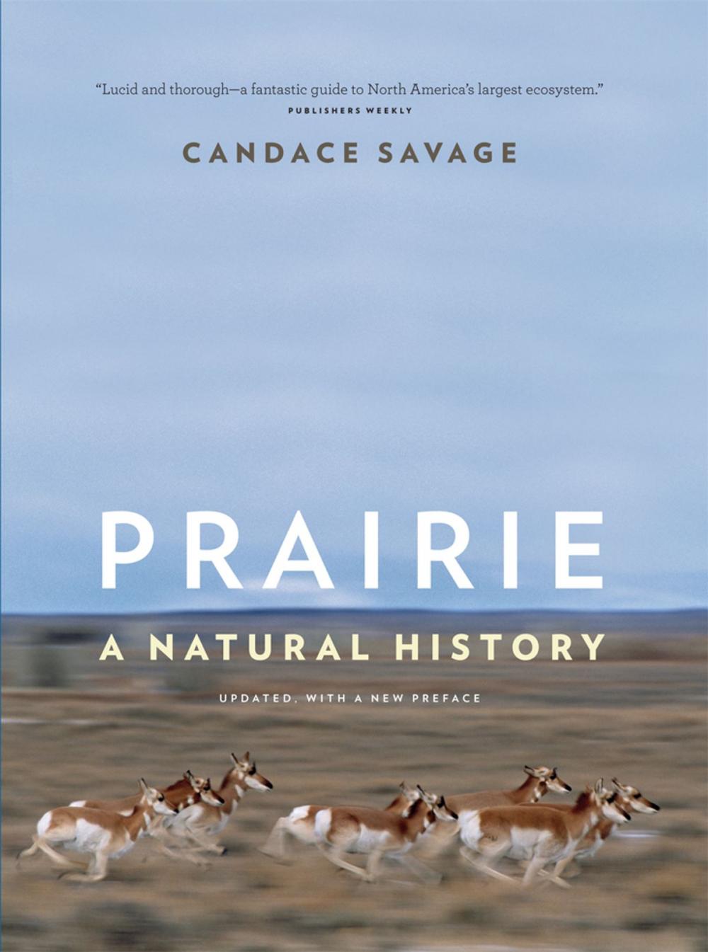 Big bigCover of Prairie