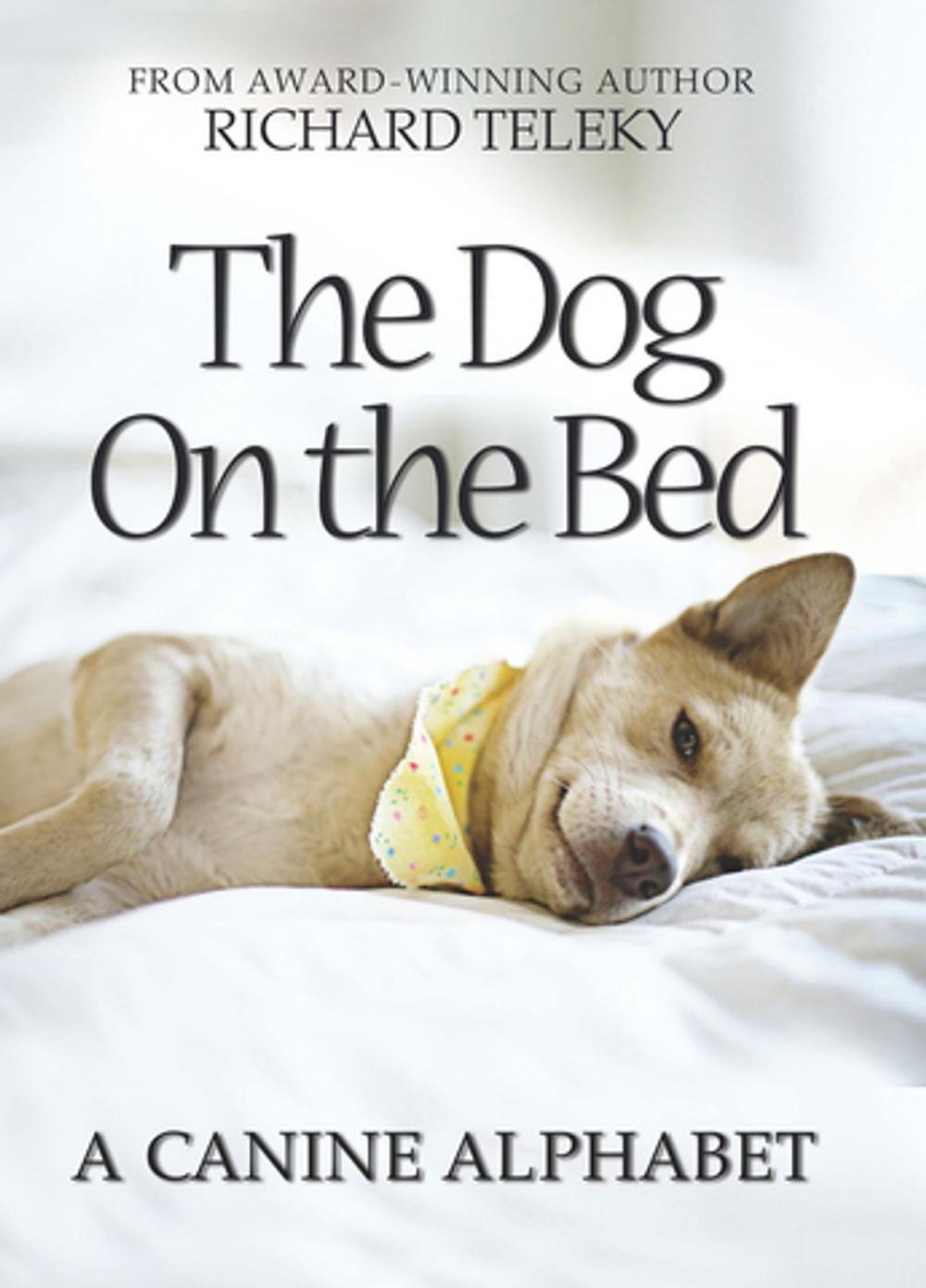 Big bigCover of The Dog on the Bed