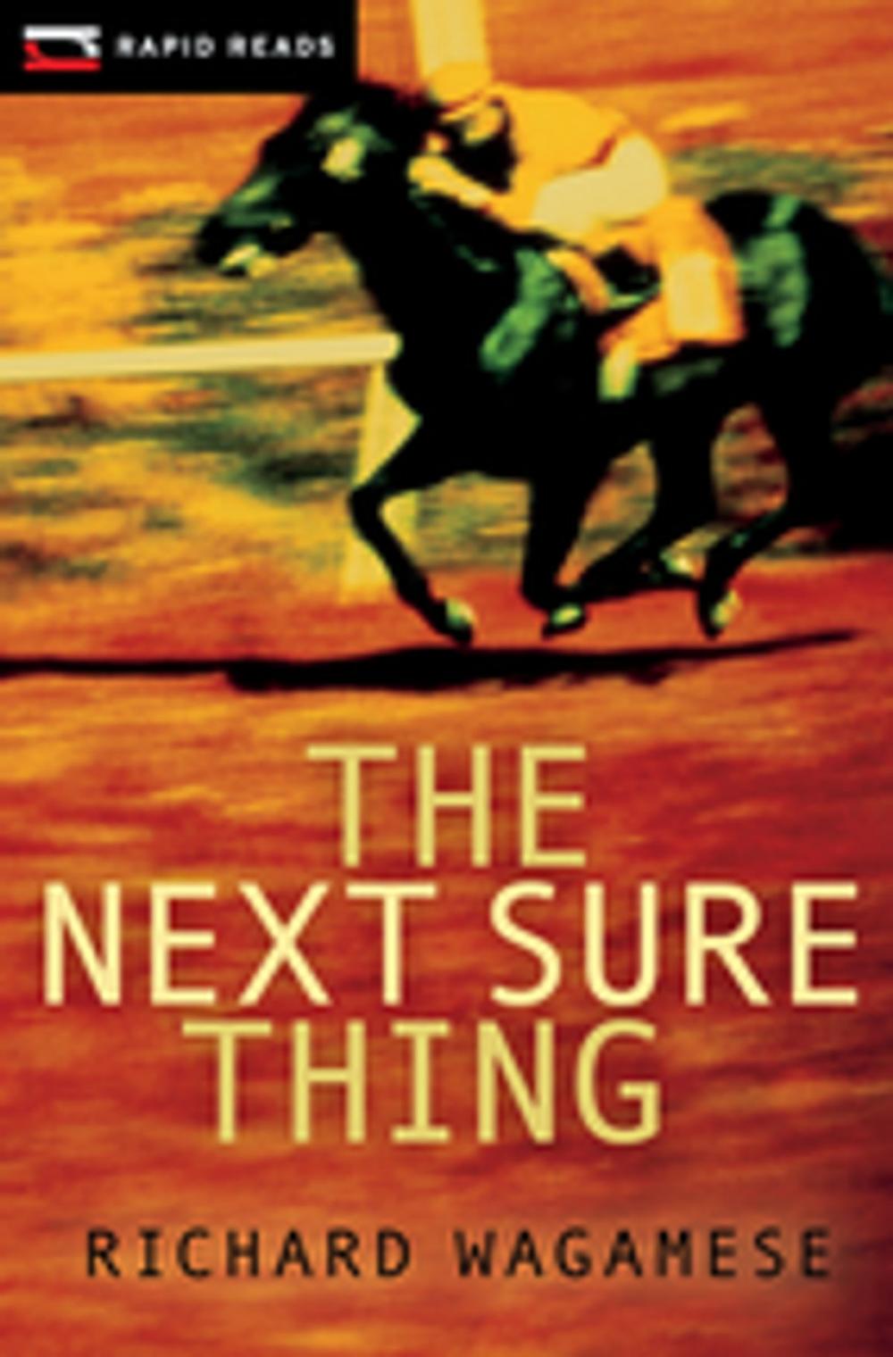 Big bigCover of The Next Sure Thing