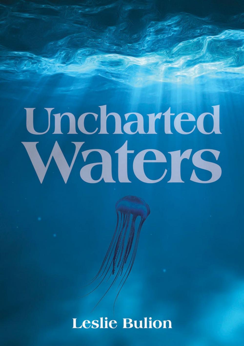 Big bigCover of Uncharted Waters