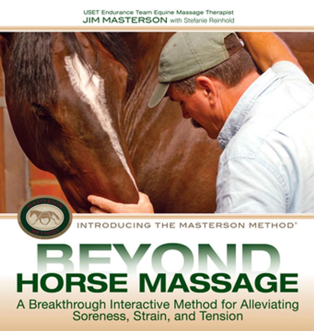 Big bigCover of Beyond Horse Massage