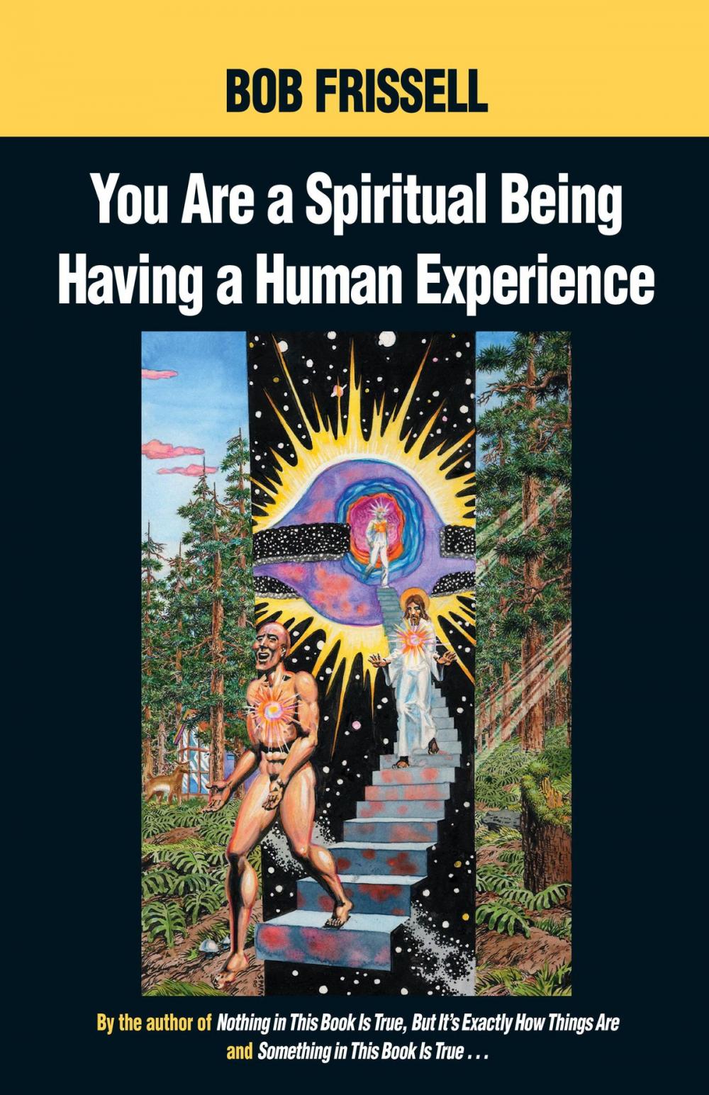 Big bigCover of You Are a Spiritual Being Having a Human Experience