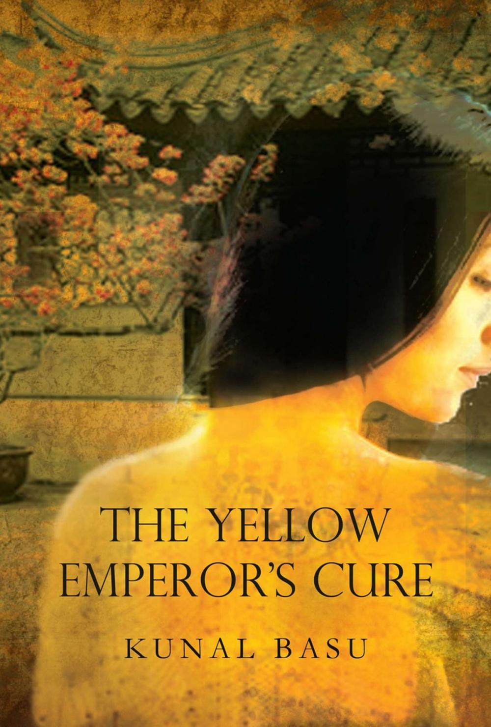 Big bigCover of Yellow Emperor's Cure