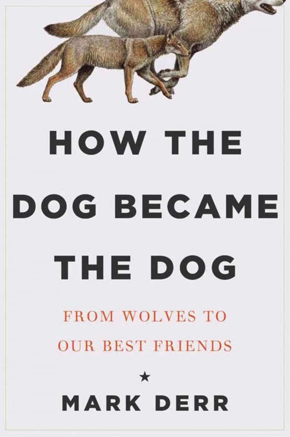 Big bigCover of How the Dog Became the Dog