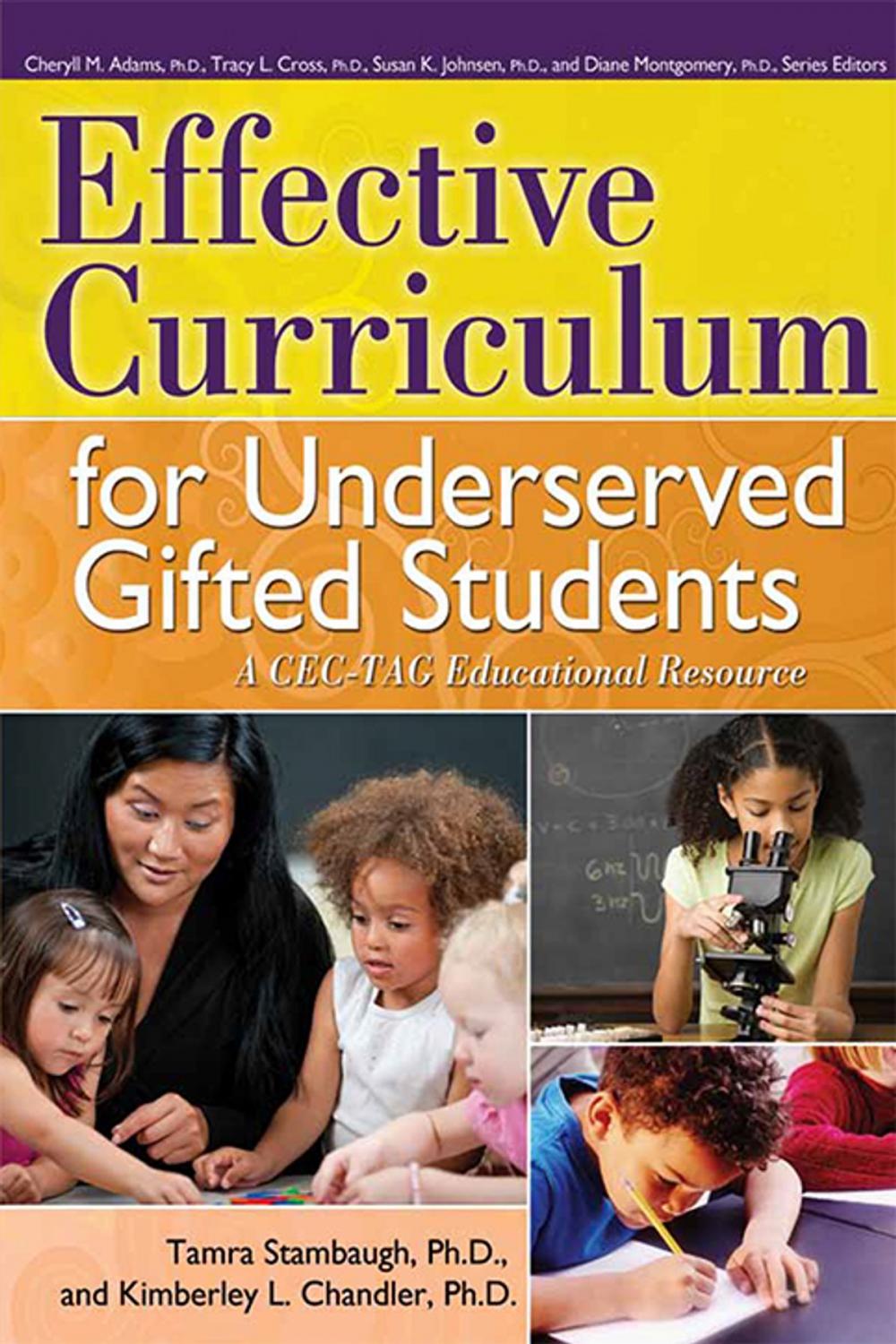 Big bigCover of Effective Curriculum for Underserved Gifted Students