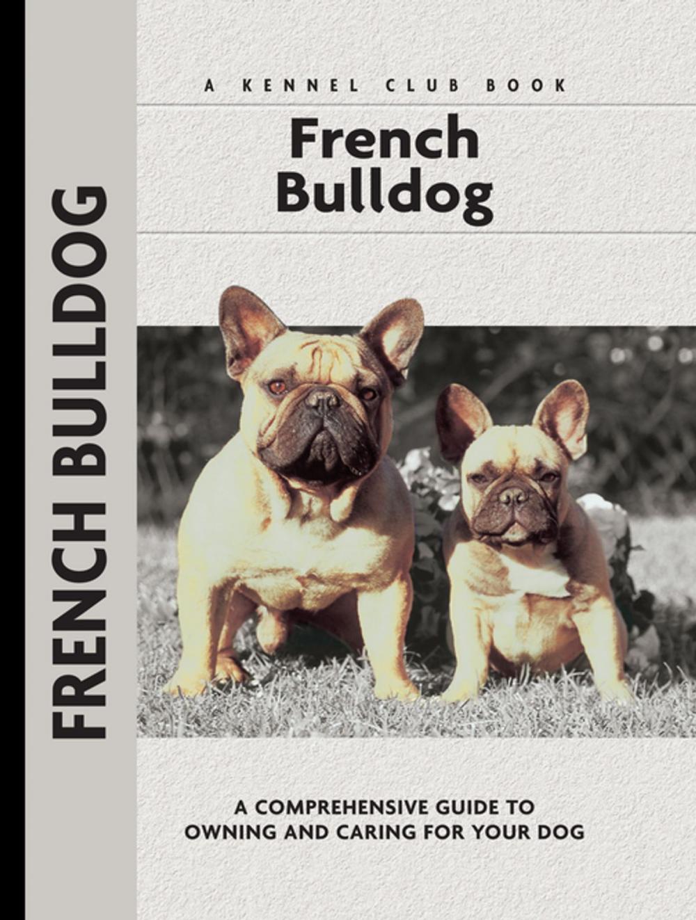 Big bigCover of French Bulldogs