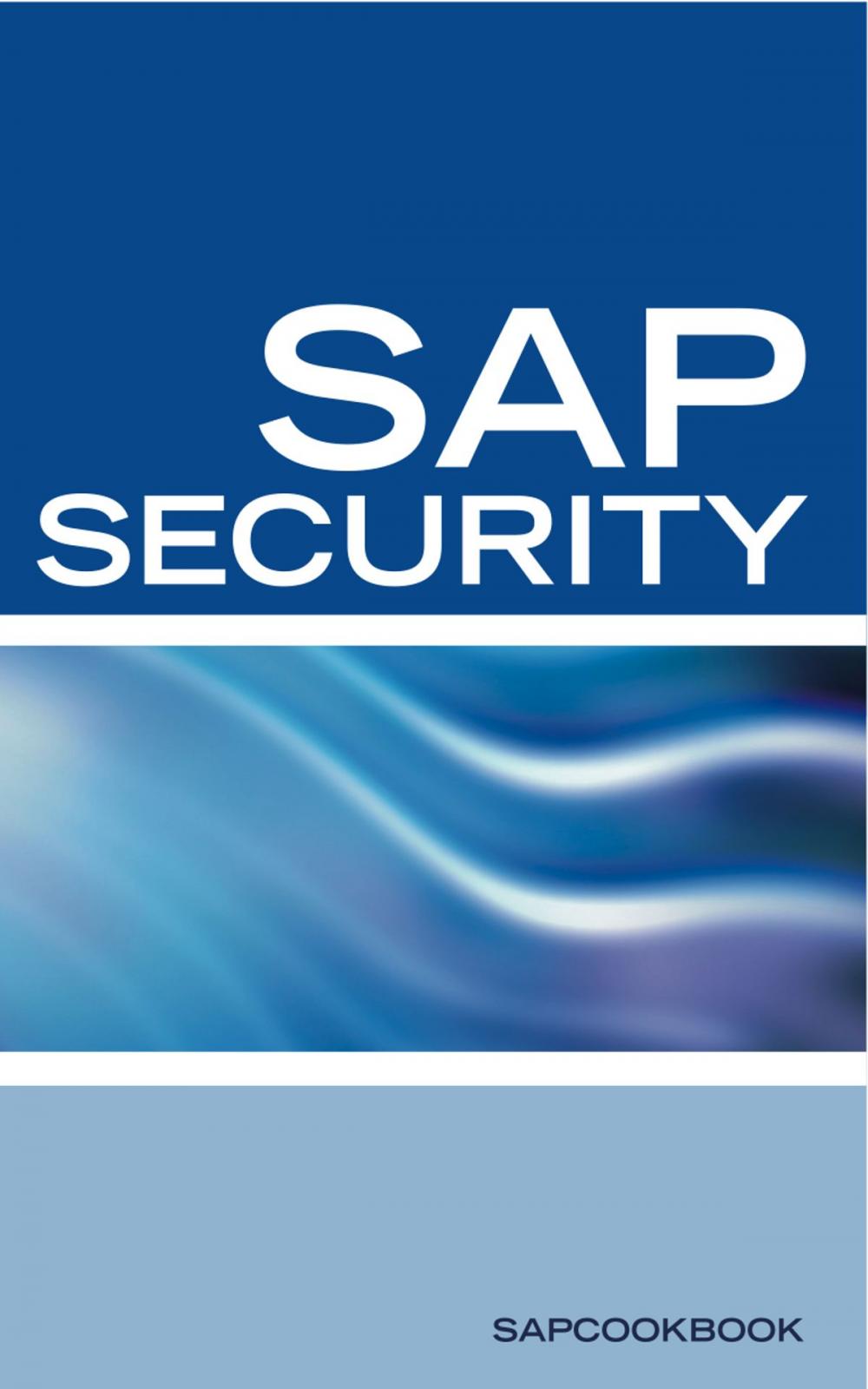 Big bigCover of SAP Security Interview Questions, Answers, and Explanations