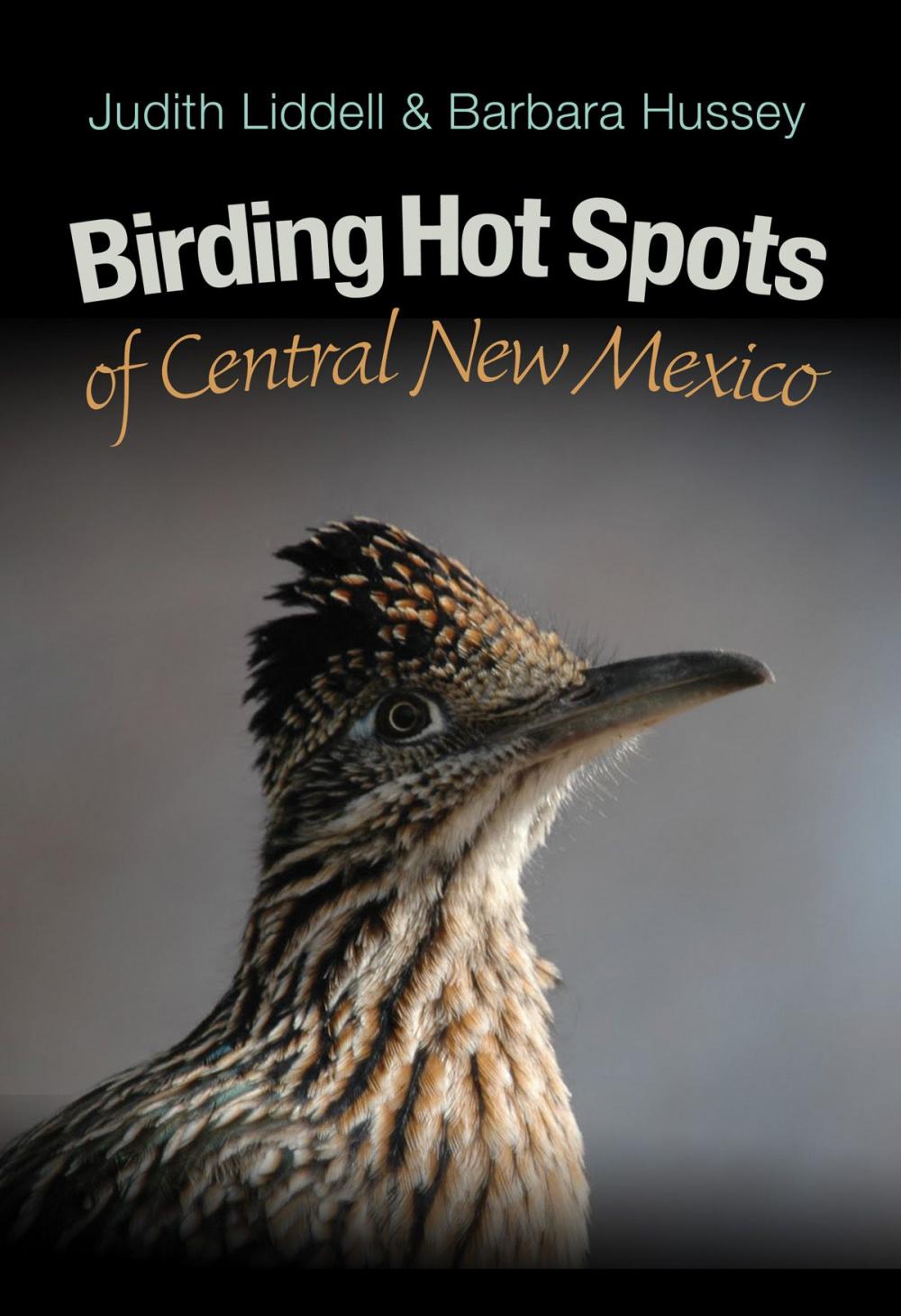 Big bigCover of Birding Hot Spots of Central New Mexico