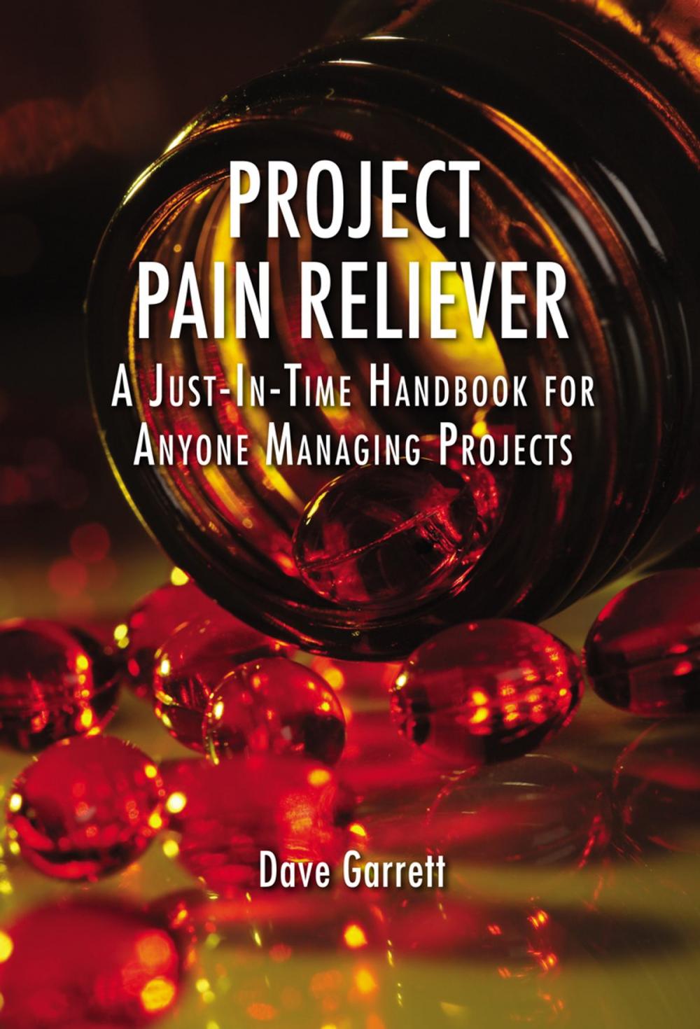 Big bigCover of Project Pain Reliever