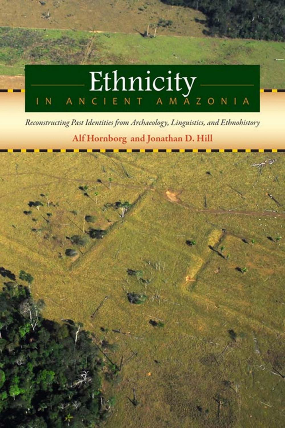 Big bigCover of Ethnicity in Ancient Amazonia