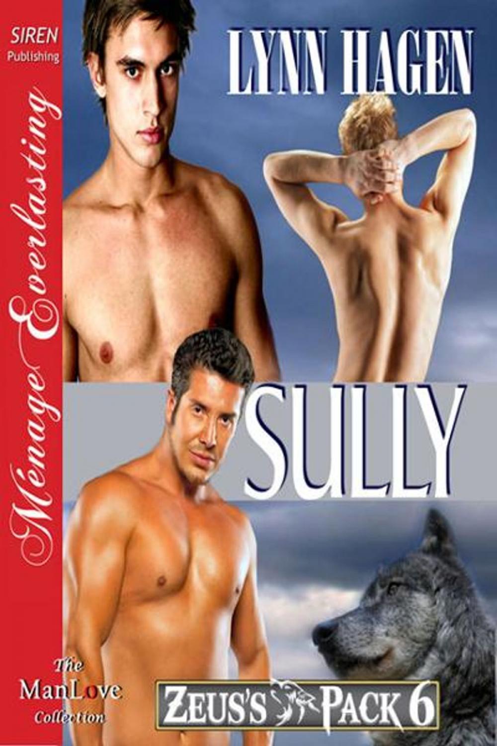 Big bigCover of Sully