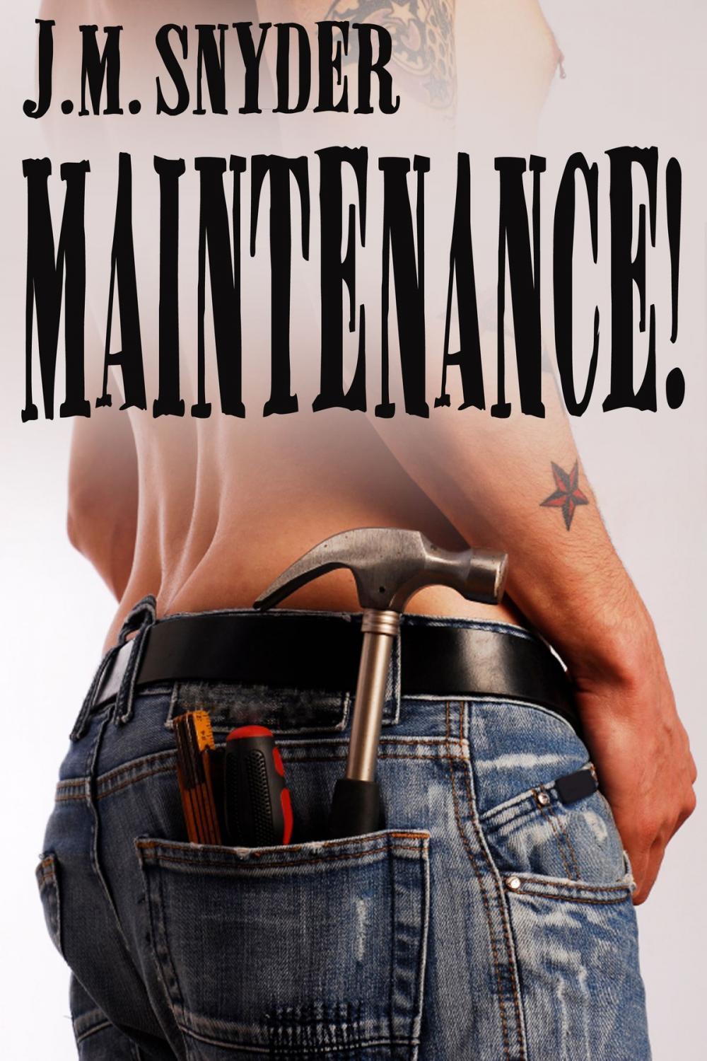 Big bigCover of Maintenance!