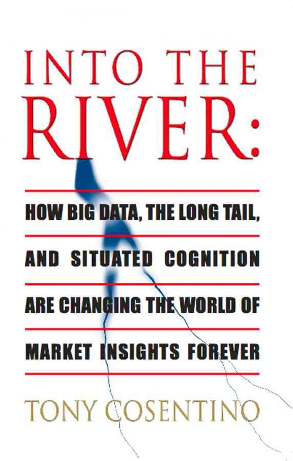 Big bigCover of INTO THE RIVER: How Big Data, the Long Tail and Situated Cognition are Changing the World of Market Insights Forever