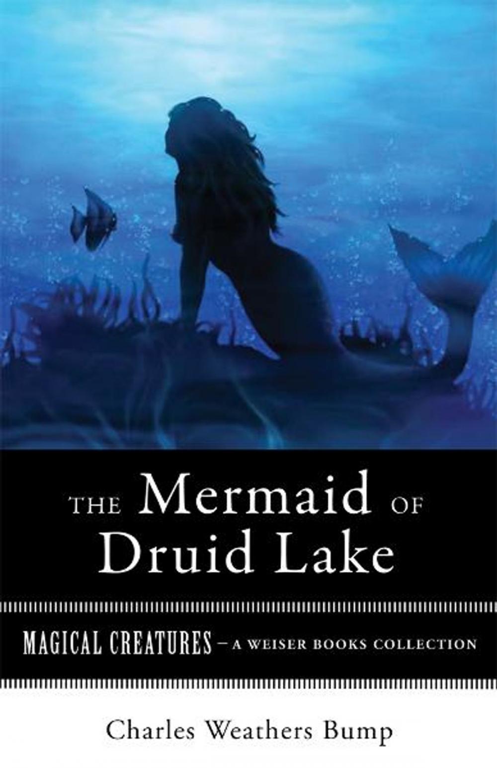 Big bigCover of The Mermaid of Druid Lake
