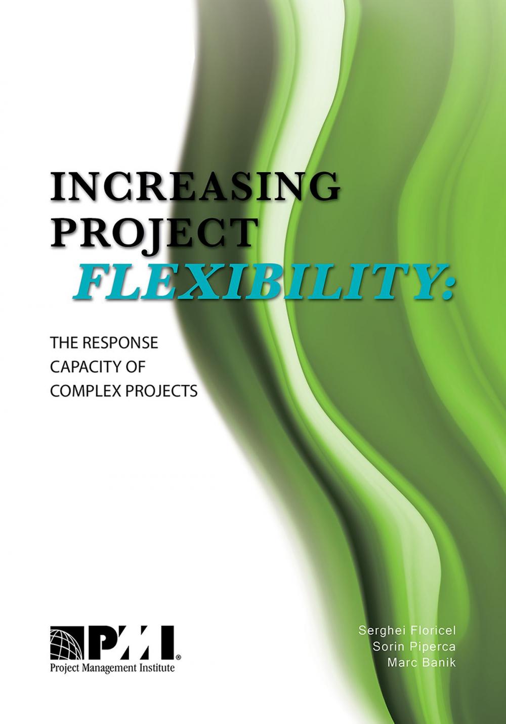 Big bigCover of Increasing Project Flexibility