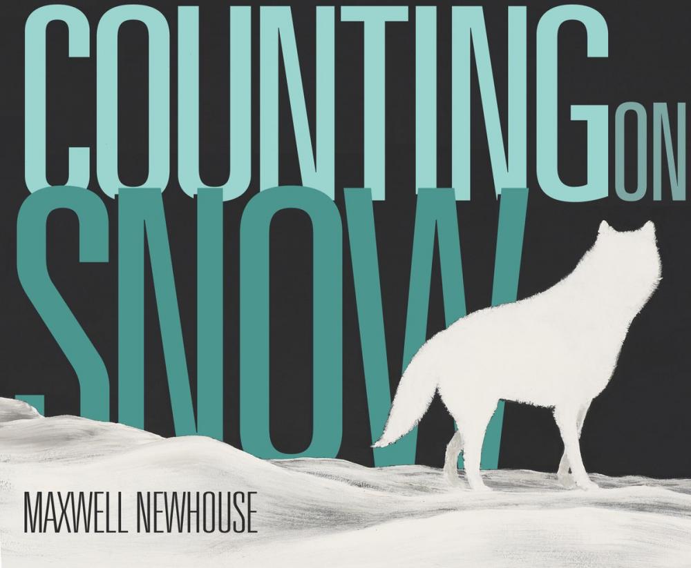 Big bigCover of Counting on Snow