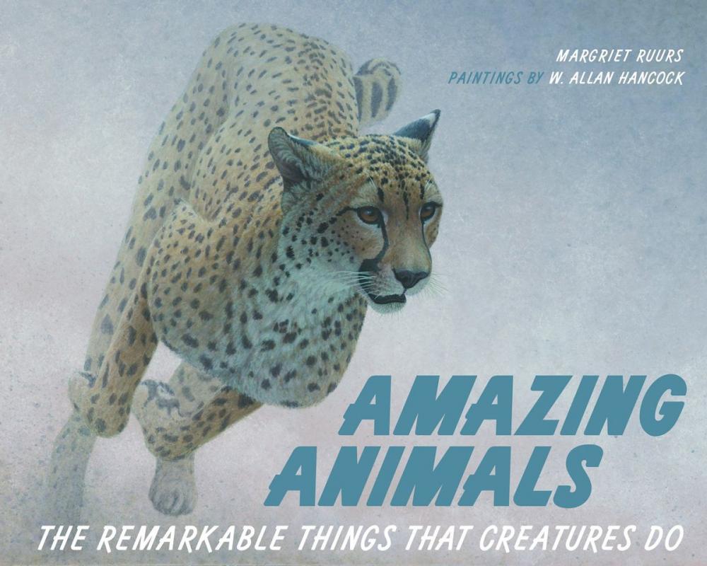 Big bigCover of Amazing Animals