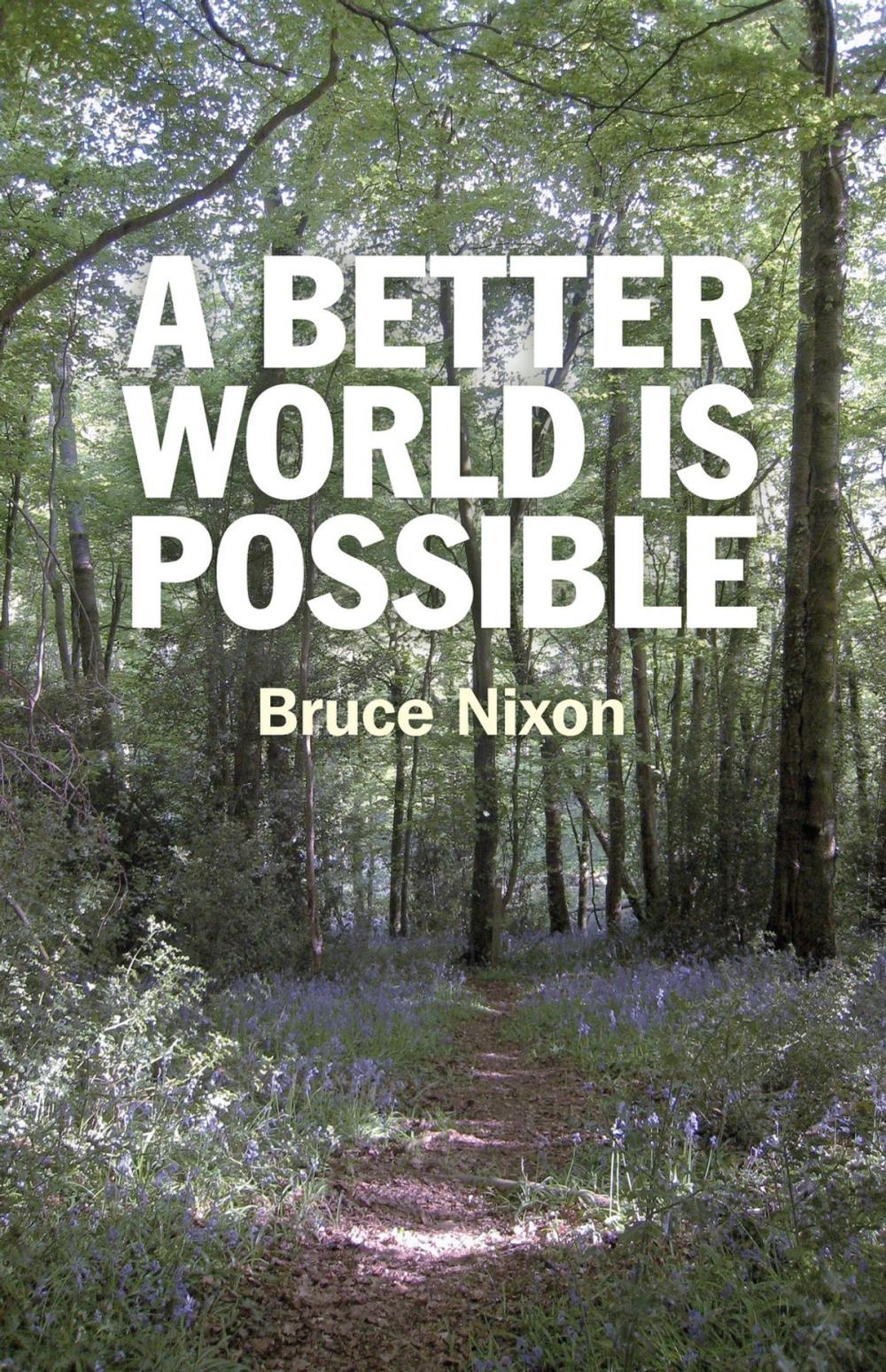 Big bigCover of A Better World is Possible